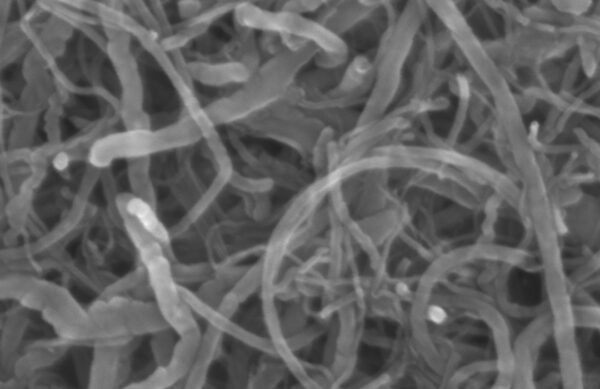 Carbon-nanotube-conductive-slurry-N0-1-1 Carbon nanotube conductive slurry