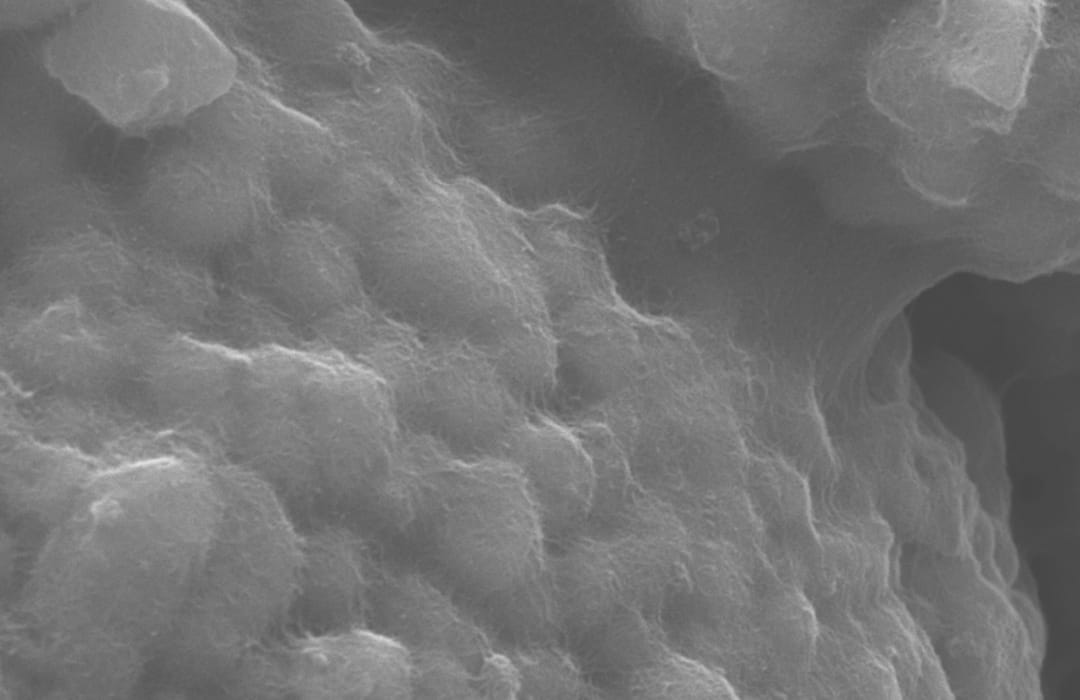 Thin-walled carbon nanotube conductive slurry-N05 - Xnergy