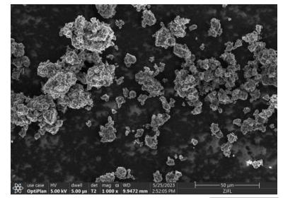 LGPS Li10GeP2S12 sulfide solid electrolyte SEM scanning electron microscope image showing particle morphology at 50 micrometer scale