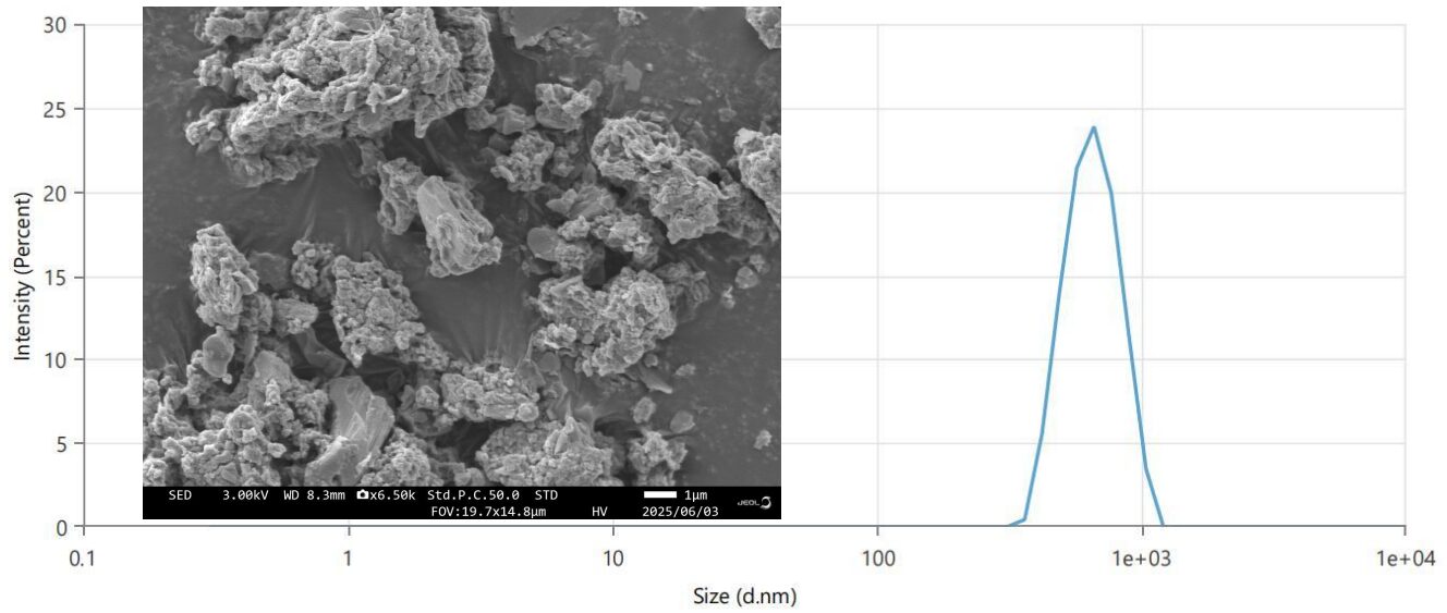 W-Doped NPS sodium-ion sulfide solid electrolyte SEM image and particle size distribution showing 1 micron average particle size