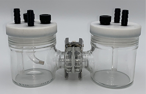 2222 CO2RR MEA Electrolyzer Cell