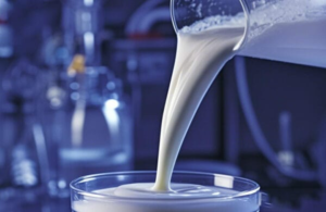 Battery binders including PVDF, PTFE, CMC, and SBR for lithium-ion battery electrode preparation