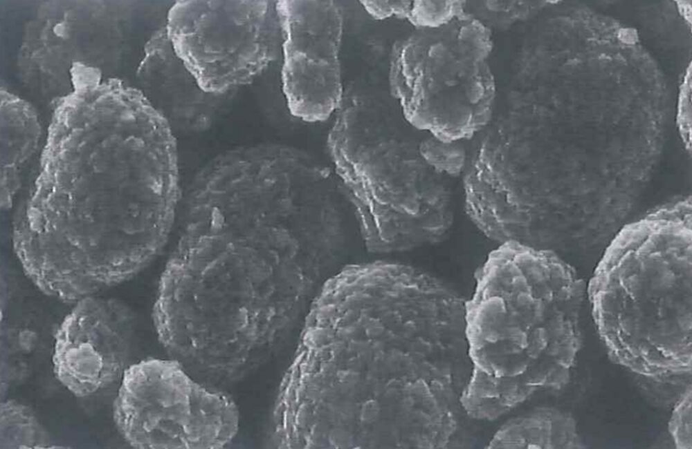 Shanshan T31D NCM Cathode Material