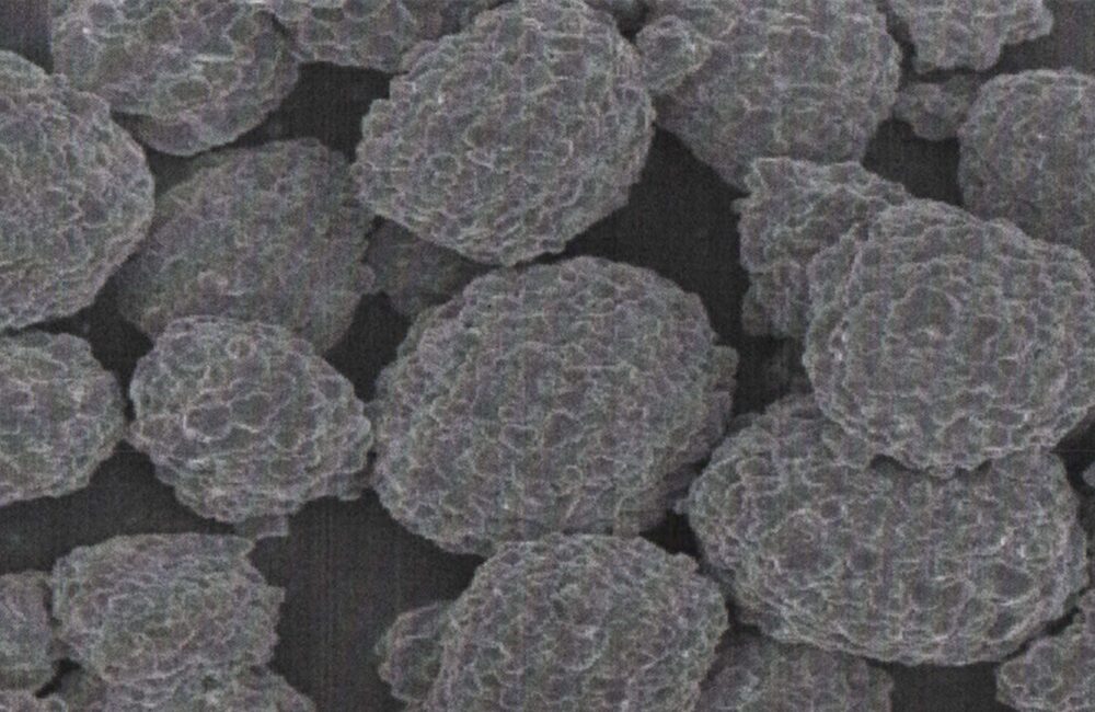 Tianli TLM510 NCM cathode