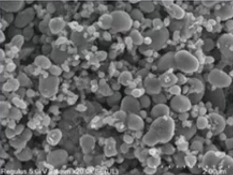 Dynanonic DY-X1 LFP cathode SEM morphology