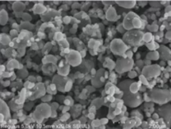 Dynanonic DY12 LFP cathode SEM morphology