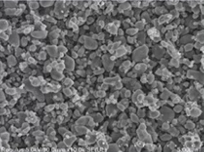 Dynanonic DY17 LFP cathode SEM morphology