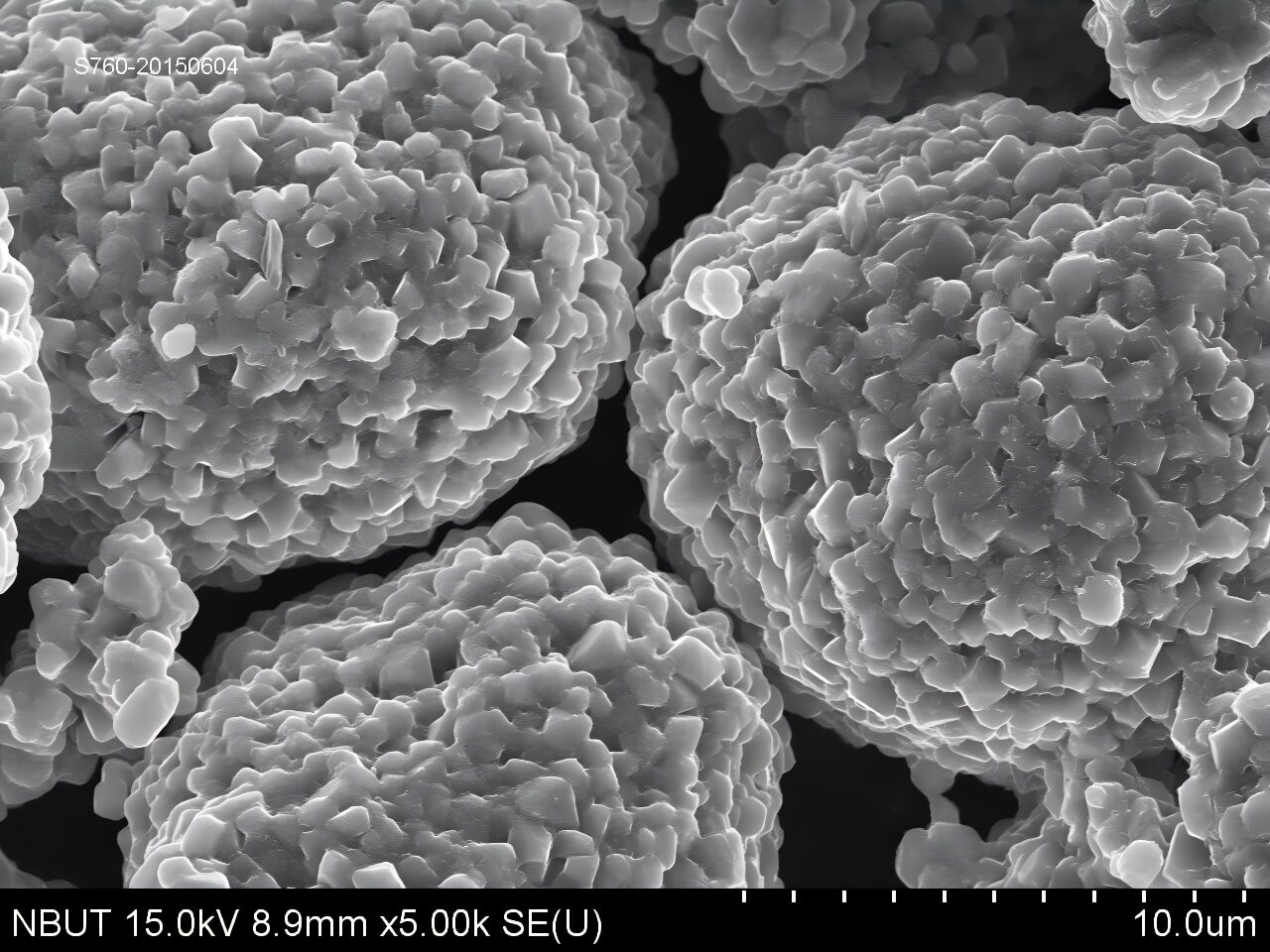 Ronbay S760 polycrystalline NCM613 SEM high magnification