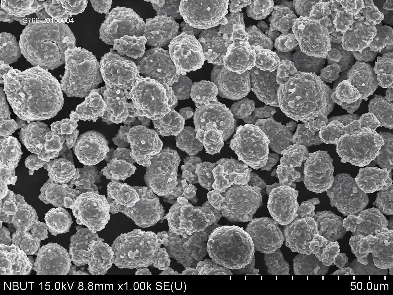 Ronbay S760 polycrystalline NCM613 SEM low magnification