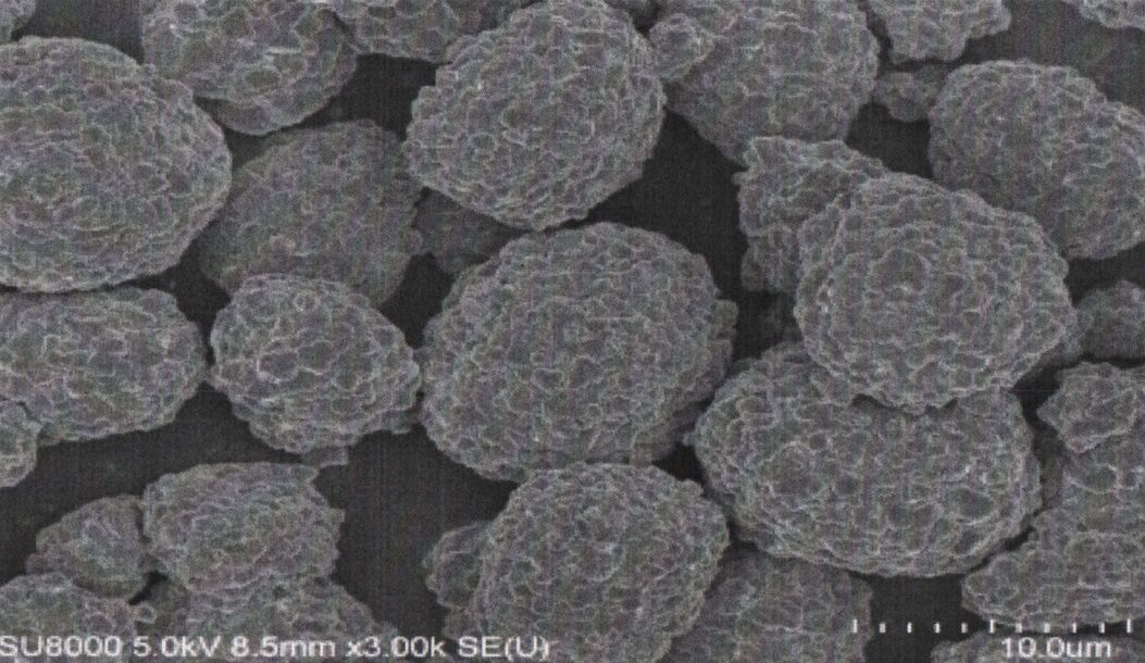 Xinxiang Tianli TLM510 NCM SEM
