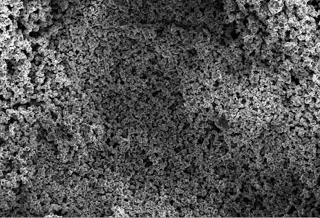 Zhenhua NCM9000 cathode SEM lowest magnification