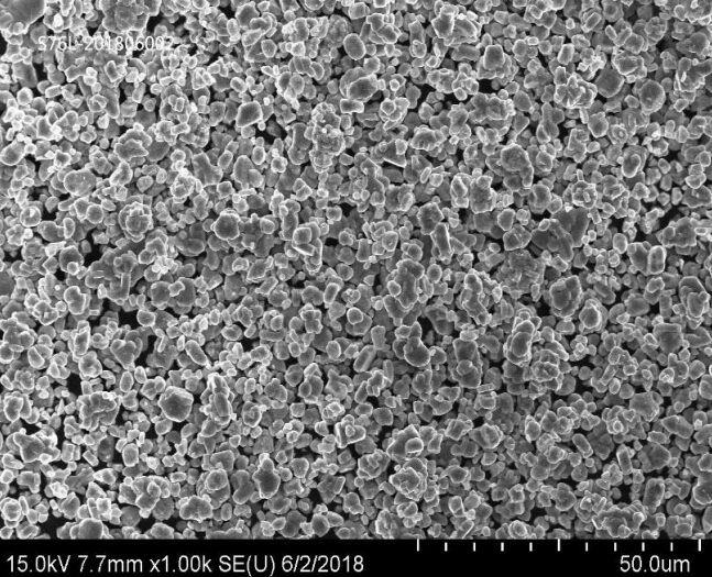 Ronbay S76L NCM622 SEM low magnification