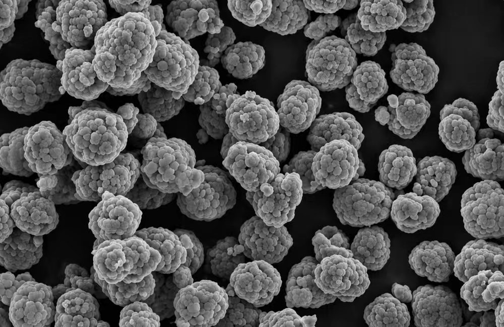Xnergy XN-NCM622-PC polycrystalline NCM622 secondary particles SEM close view