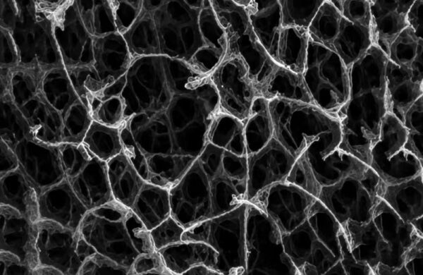 XN-GCF three-dimensional interconnected graphene foam structure