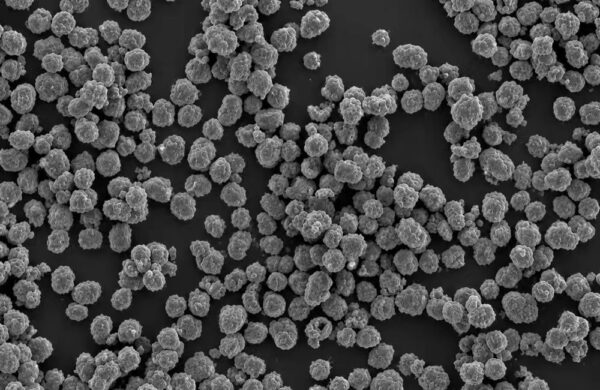 XN-NCM622-PC polycrystalline NCM622 secondary particle SEM overview