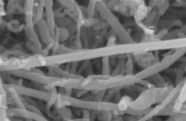 MWCNT Aqueous Conductive Slurry XN-SN375 XN-SN375 18–50 nm MWCNT aqueous conductive slurry