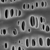 Celgard 3501 Polypropylene Battery Separator Film SEM Celgard 3501 polypropylene battery separator film SEM microstructure