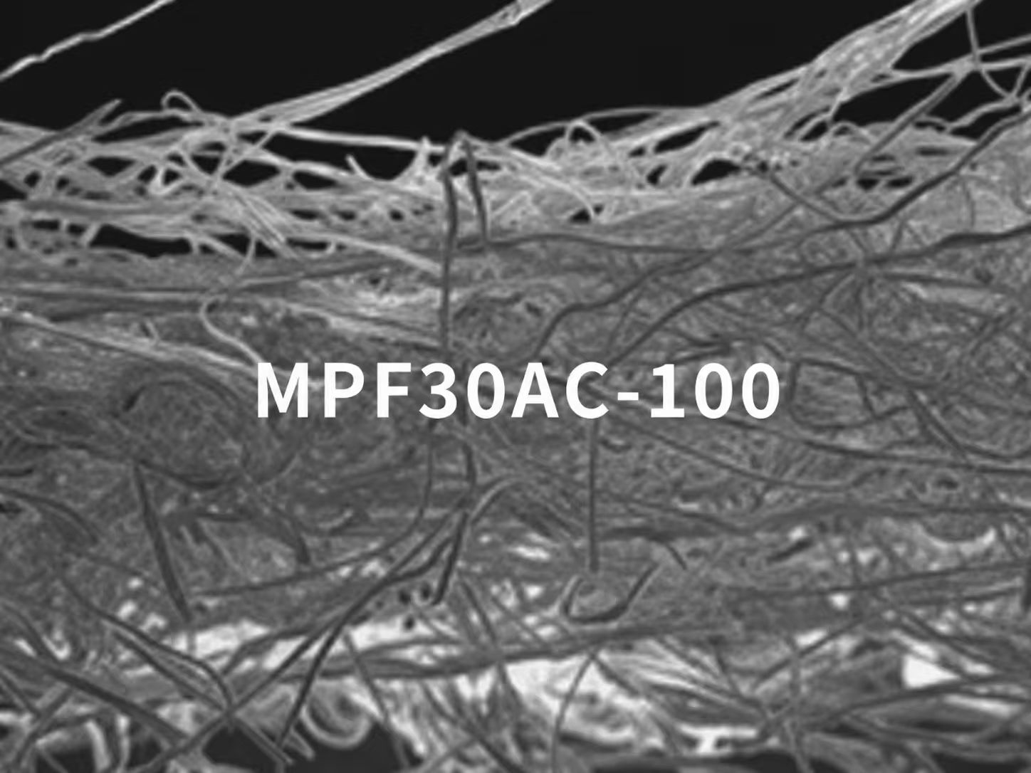 NKK MPF30AC-100 separator film scanning electron microscopy